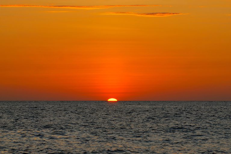 Sunsetting: Taking Another Look at its Value and Impact