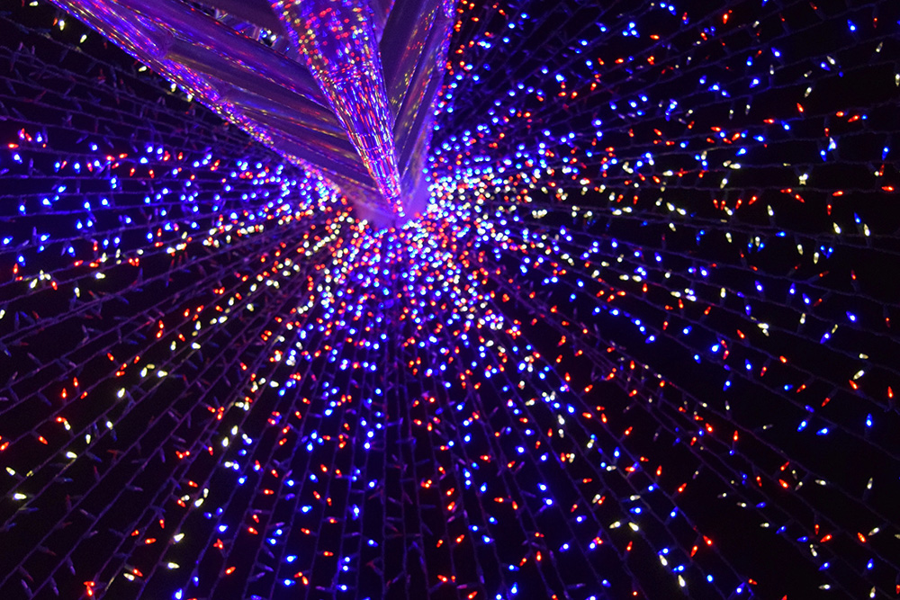 1,000 Points of Light