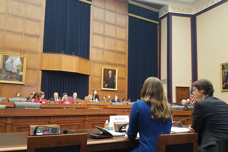 Opportunity for Women with the Freedom Movement