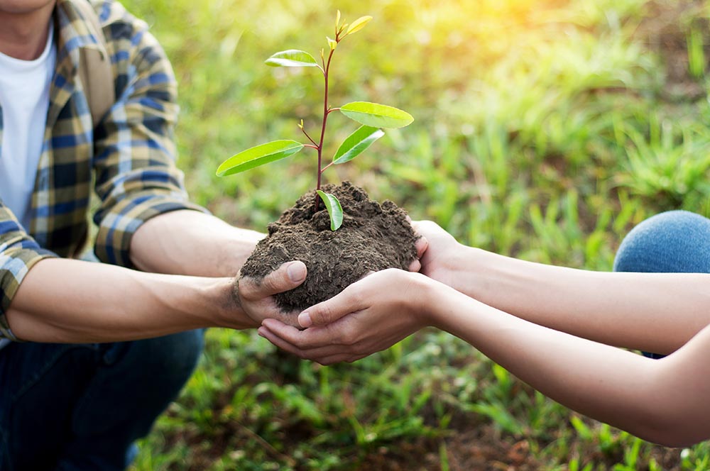 Gardening and Giving: Encouraging Philanthropy in Children