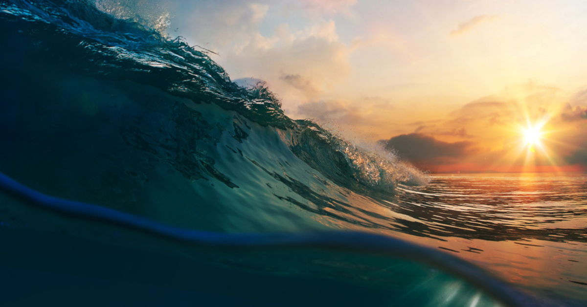 How to Roll Over Your DAF