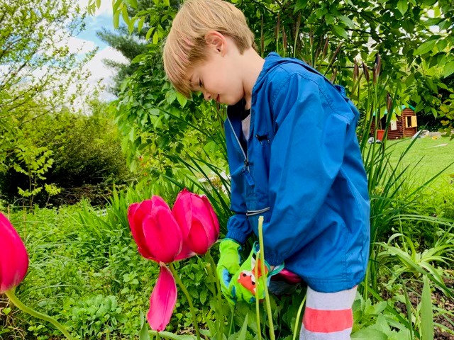 Finding Contentment Inside My Garden and Beyond