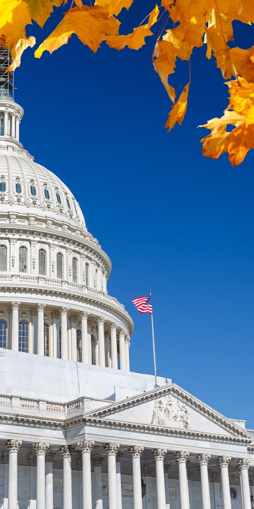 Civic Engagement Matters