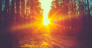 Giving Ventures Podcast: Preserving Donor Intent