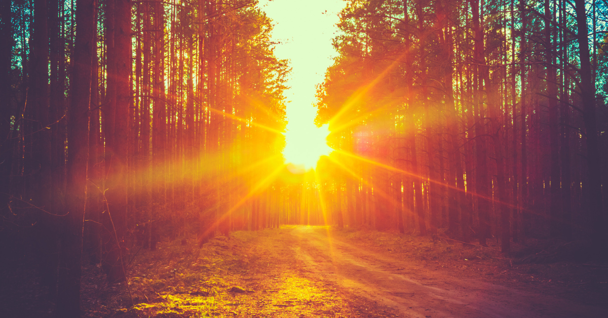 Giving Ventures Podcast: Preserving Donor Intent