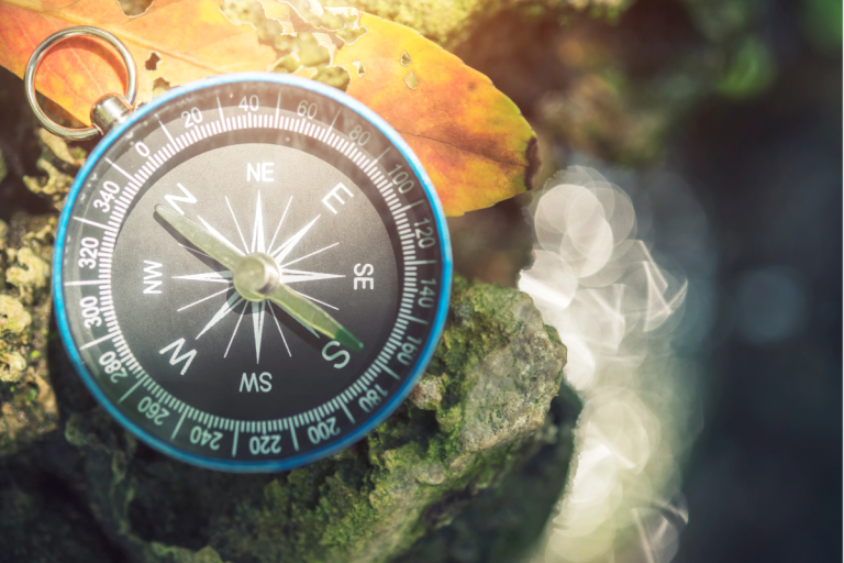 The Many Voices of the Right