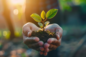 The State of American Philanthropy